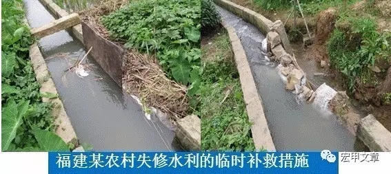 1490017667345026305.jpg 04.jpg