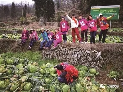 1490017993085026548.jpg 11.jpg
