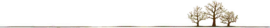 1534859553099016594.jpg 地平线与树.jpg