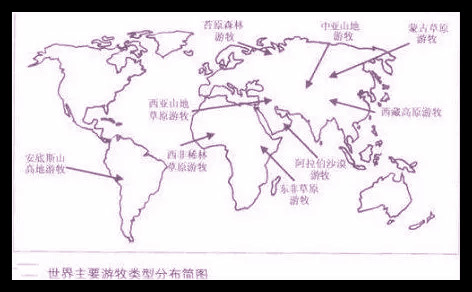 1545131620734087171.jpg 640.webp (1)_meitu_1.jpg