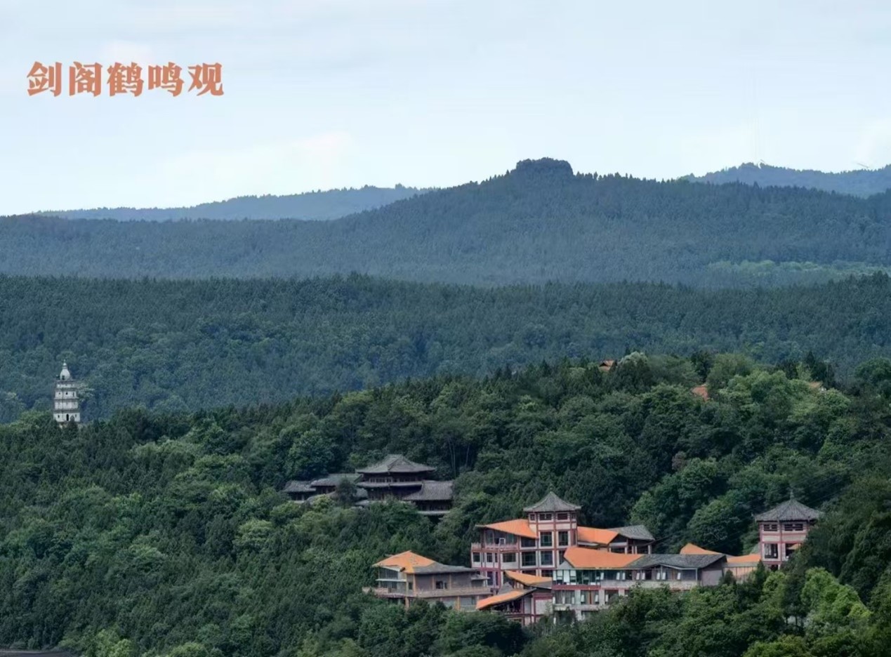 易道先生：流感发烧的快速退烧食疗方法